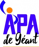 apa